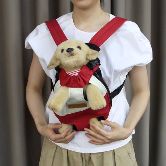 🔥BIG SALE - 45% OFF🔥🔥Pet Travel Leg-out Backpack🐶🐱